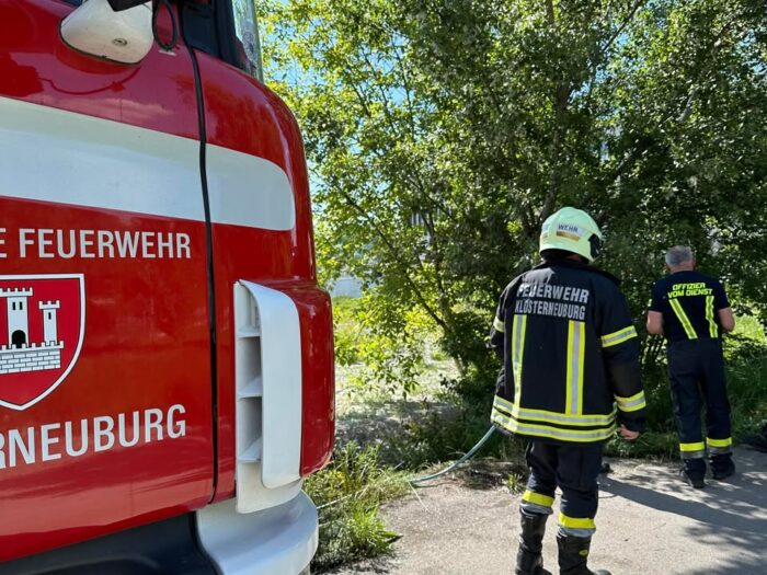 +++ Flurbrand & Pkw Ortsveränderung +++  Am 12.Mai um 15:25 Uhr wurde die Wache 2 zu einem Flurbrand am Donauradweg alarmiert. Dieser konnte noch vor dem Eintreffen der Einsatzkräfte abgelöscht werden. Kurz danach musste ein Pkw aus einem Baustellenbereich ortsverändert werden. Nach 40 Minuten konnten die Einsätze beendet werden.